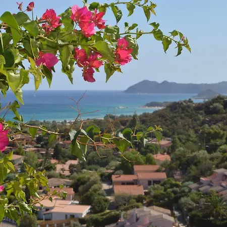 Nuova Valmar Ginepri 